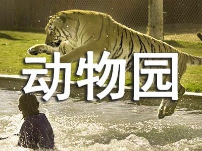 北京旅游日记英语 (精选6篇)动物园为动物提供舒适、安全的生活条件