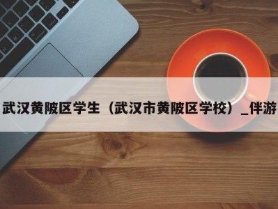 武汉黄陂区学生(武汉市黄陂区学校)_伴游