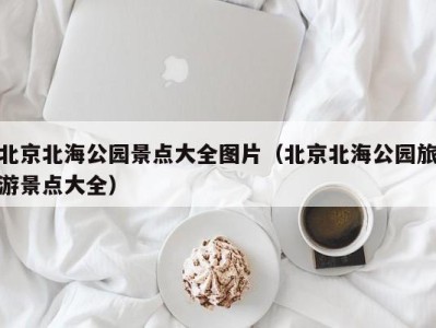 北京北海公园景点大全图片(北京北海公园旅游景点大全)