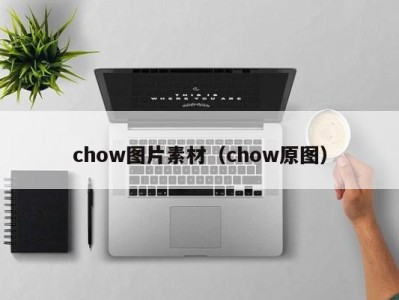 chow图片素材(chow原图)
