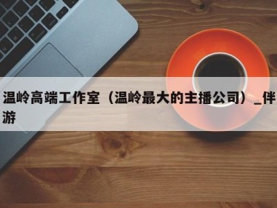 温岭高端工作室(温岭最大的主播公司)_伴游