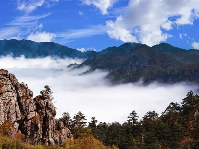 北京神农架:秘境之旅,云海奇观,草原牧歌,探寻世外桃源
